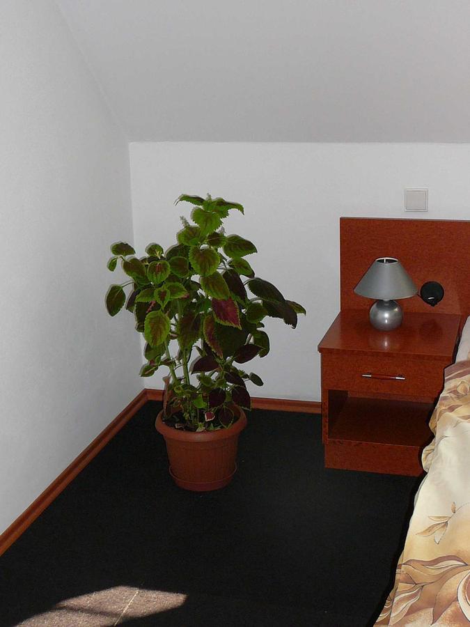 Penzion Praktik Krumlov Přísečná Szoba fotó